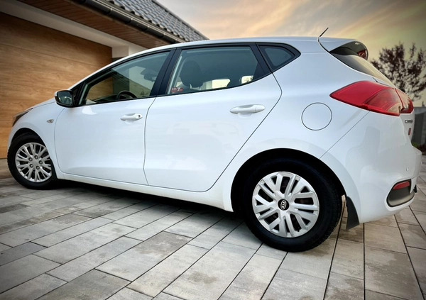 Kia Ceed cena 24900 przebieg: 248000, rok produkcji 2012 z Racibórz małe 379